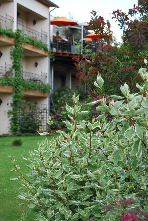 Hostellerie Gilain Achene Luaran gambar